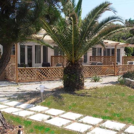 Elli Beach Apartments And Studios Almiros Beach エクステリア 写真