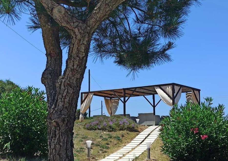 Elli Beach Apartments And Studios Almiros Beach エクステリア 写真