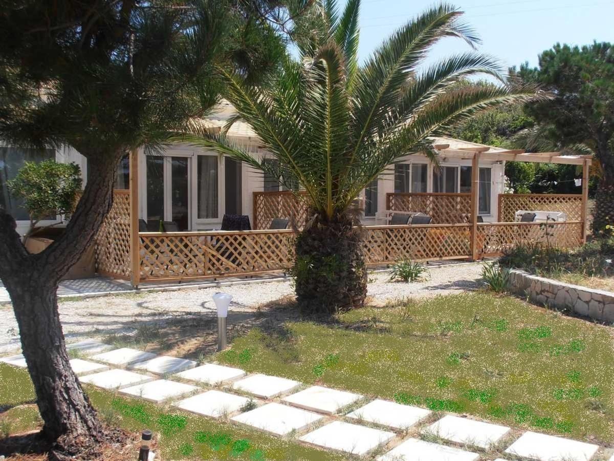 Elli Beach Apartments And Studios Almiros Beach エクステリア 写真