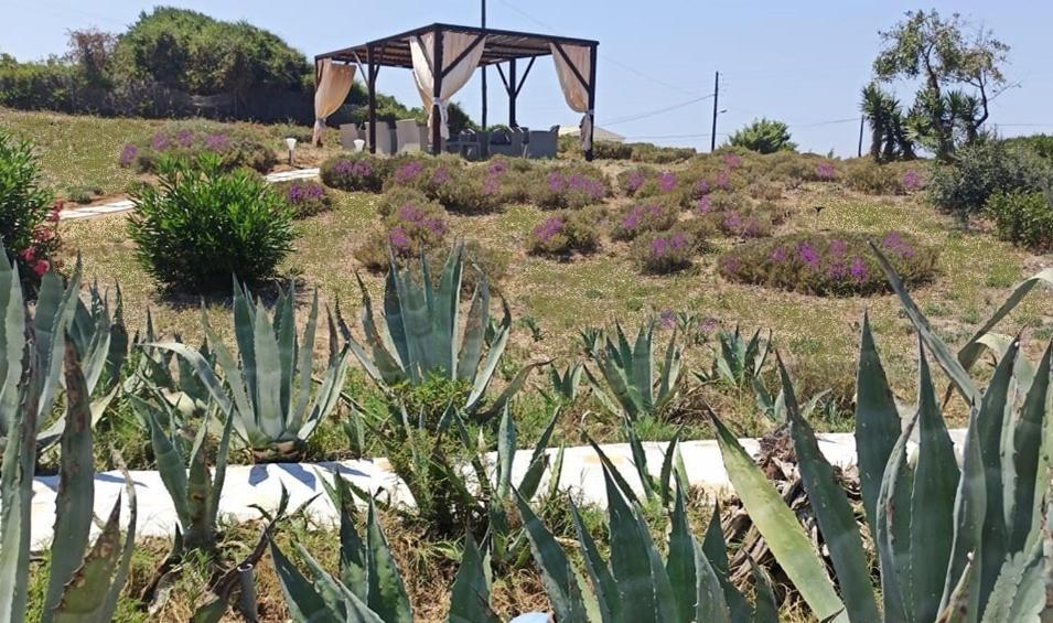 Elli Beach Apartments And Studios Almiros Beach エクステリア 写真