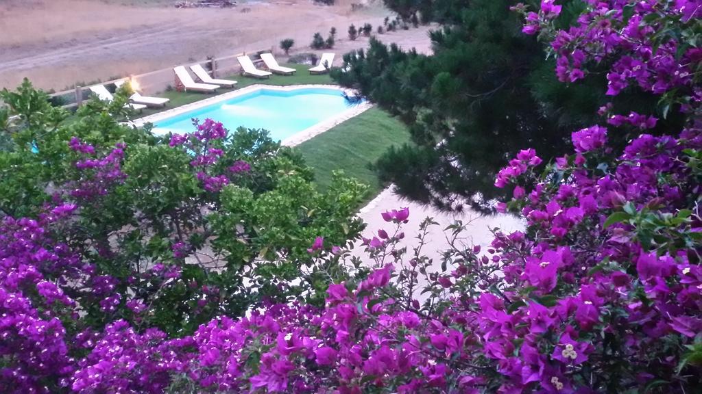 Elli Beach Apartments And Studios Almiros Beach 部屋 写真