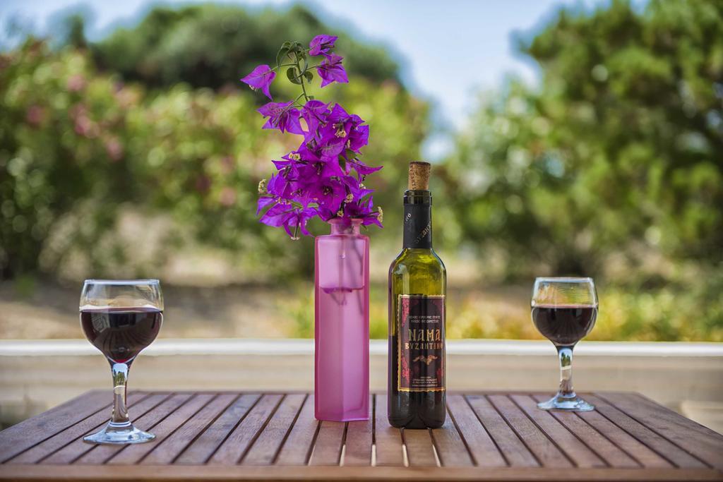 Elli Beach Apartments And Studios Almiros Beach エクステリア 写真